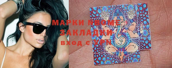 стафф Алексин